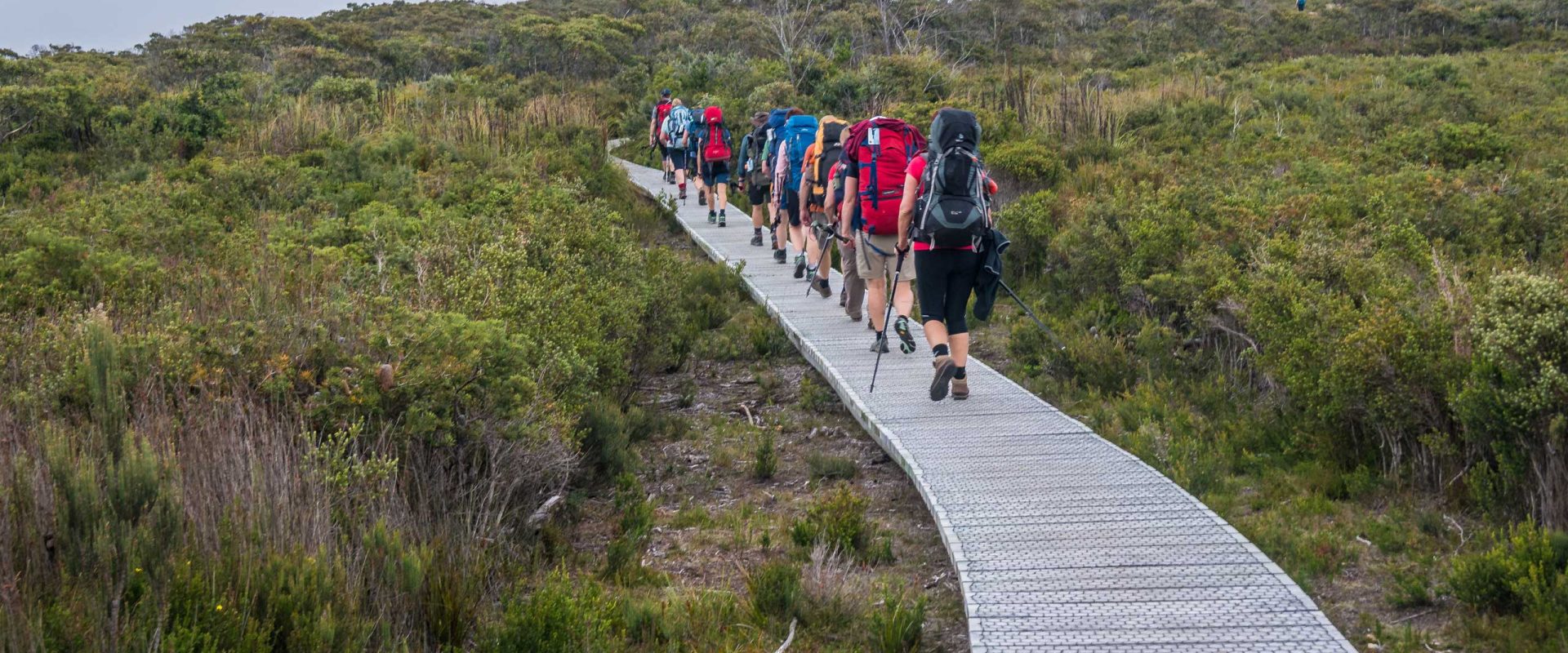 lawyers-tasmania